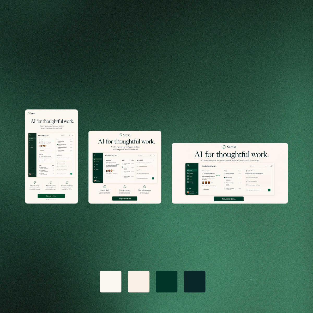 Email, page, and campaign assets built together in one program